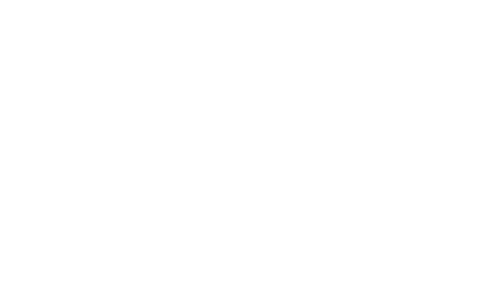 LIDIA OLIVARES